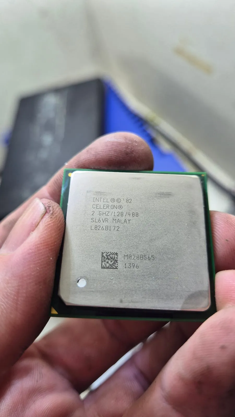 Il processore Intel Celeron pulito, con la sigla SL6VR