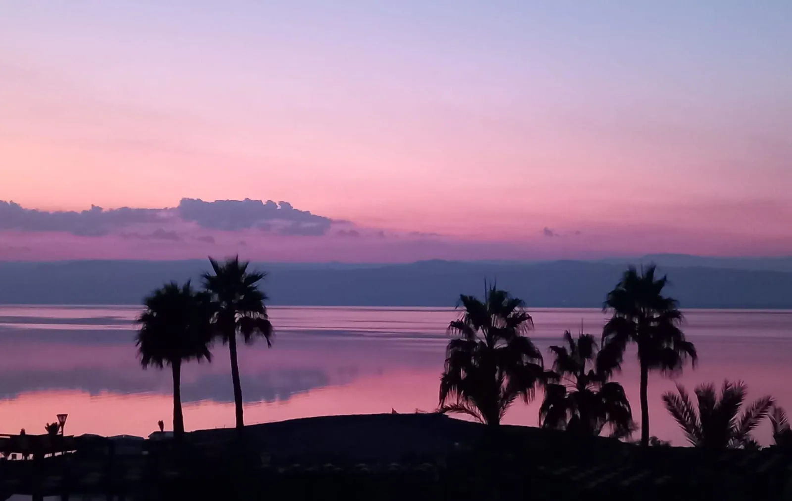 Il tramonto rosa sul mare, con le palme in controluce